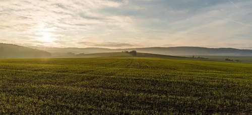 Indre : l'investisseur chinois qui rachetait des champs a fait...