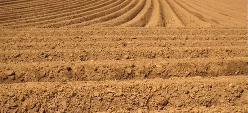 Loiret : les slips sortent de terre !