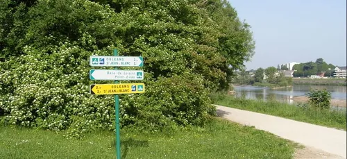 Orléans : l’Ile Charlemagne victime des cyanobactéries