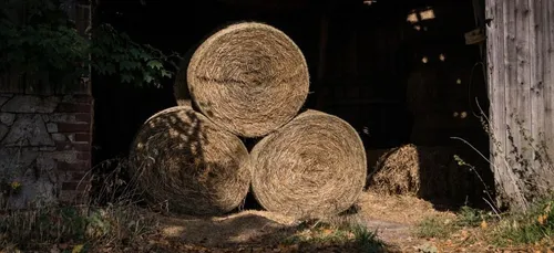 Sécheresse : Didier Guillaume pas rassurant malgré ses annonces