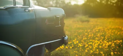 Ils font cuire des biscuits dans une voiture pour sensibiliser sur...
