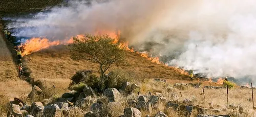 Feux de récoltes : une situation inédite dans le Loiret !
