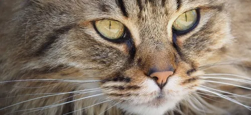 Ils passent leurs vacances à côté de l'autoroute dans l'espoir de...