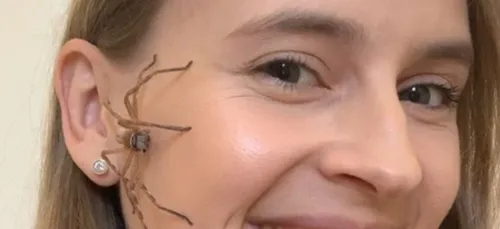 Pour lutter contre le stress, elle pose des araignées sur son...