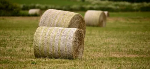 Indre : le préfet au chevet des agriculteurs qui souffrent de la...