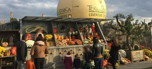 Le parc angevin Terra Botanica fête l’automne !