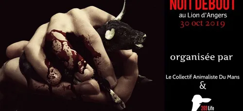 Manifestation mercredi des antispécistes devant l’abattoir Elivia...