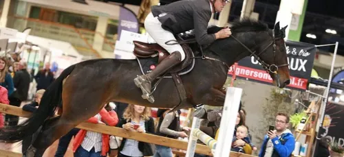 Le 4ème salon du cheval s’installe à Angers