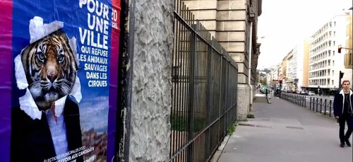 L214 à Angers samedi pour interpeller les candidats aux municipales...