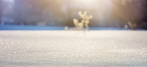 Météo du week-end : entrée dans l’hiver avec du froid et de la neige