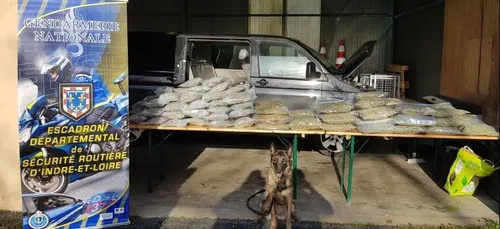 Indre-et-Loire : nouvelle saisie de stupéfiants sur l’A10