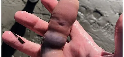 Une plage de Californie envahie par des milliers de...