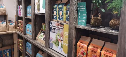 Angers : la tendance du « Do It Yourself » avec Radis et Capucine