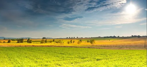 Loir-et-Cher : lancement d'une plateforme internet pour favoriser...