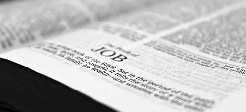 Emploi : beaucoup plus d'offres à Angers qu'à Orléans ou Nevers !