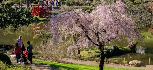 Anjou : le Parc Oriental de Maulévrier prépare sa réouverture