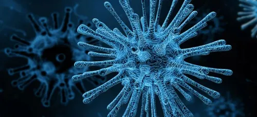 Coronavirus : le Salon de l’Agriculture fermé et le semi-marathon...