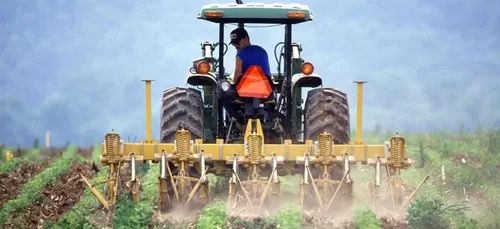 Coronavirus : une plateforme dédiée à l’emploi saisonnier agricole...