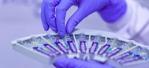 Les laboratoires vétérinaires peuvent désormais dépister le covid-19