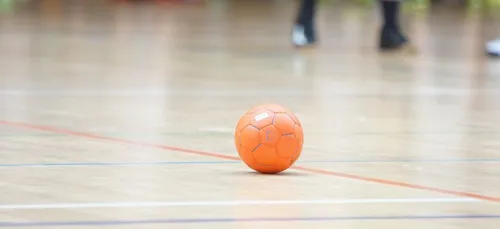 Fin de saison pour le handball : Angers et Limoges promus !