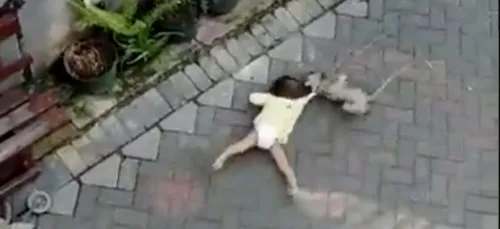 Improbable : quand un singe à mini-moto tente d’enlever un enfant...