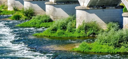 Sécheresse : les premières restrictions d'eau entrent en vigueur en...