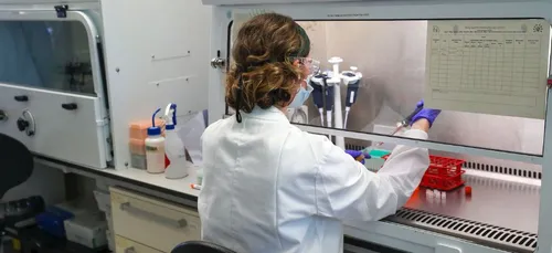 Une étude tourangelle veut évaluer l’intention vaccinale contre le...