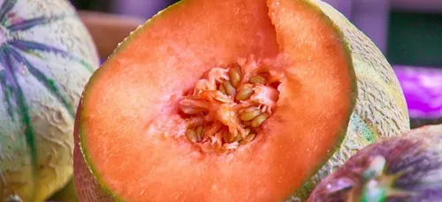 Le melon granité, la recette qui cartonne cet été