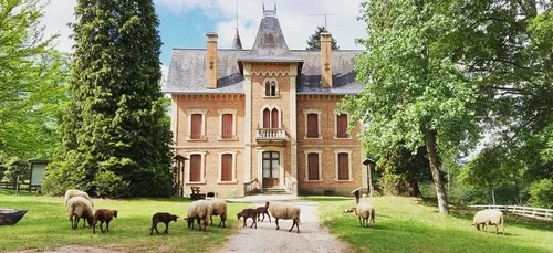 Découvrez la faune et la flore de Sologne au Domaine du Ciran