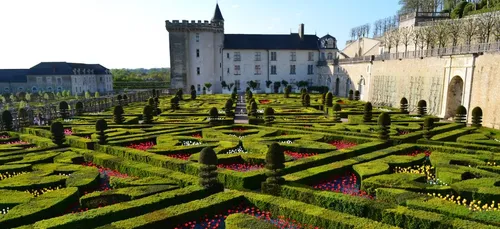 Une promenade au cœur des jardins de Villandry