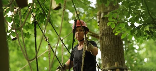 Loiret : une journée dans les arbres de Sologne