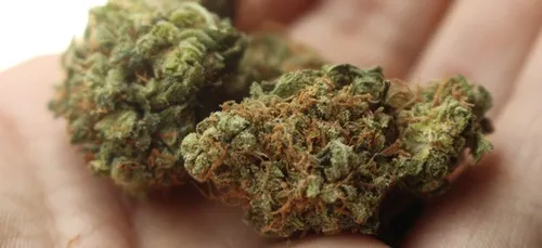 Drogue : nouvelle amende pour les consommateurs