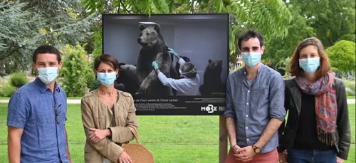 Orléans : ce que nous réserve le MOBE