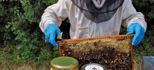 Retour des pesticides tueurs d’abeilles : désolation chez Famille...