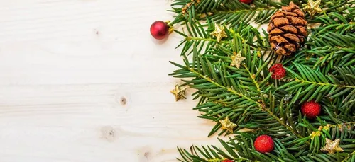 Nos conseils pour des fêtes de fin d'année plus écologiques