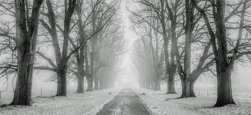 Météo du week-end : pluie, neige et températures glaciales