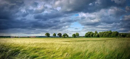 De fortes rafales attendues la nuit prochaine en Centre-Val de Loire