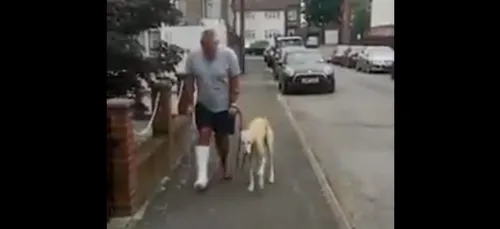 Ce chien se met à boiter pour s’adapter à la nouvelle démarche de...