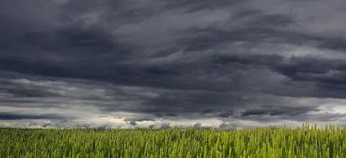 Météo du week-end : 24 départements en vigilance orange