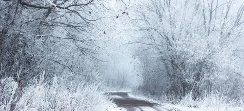 Neige : on fait le point sur vos conditions de circulation !