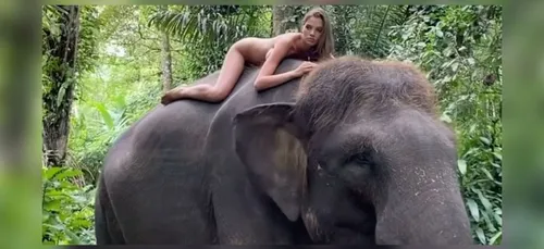 Une influenceuse pose nue sur un éléphant, les internautes...