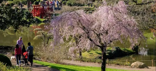 Maine-et-Loire : le parc oriental de Maulévrier rouvre ce samedi !