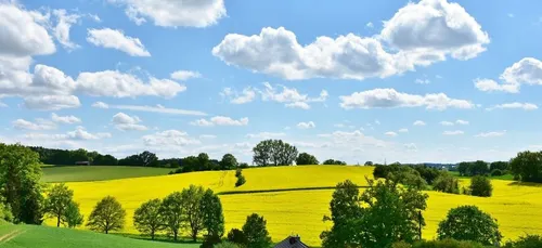 Météo du week-end : un temps majoritairement ensoleillé malgré...