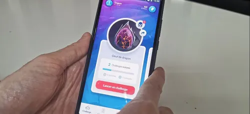 Centre-Val de Loire : des allergologues créent une appli pour aider...