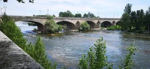 Orléans : appel à projets pour animer la Loire cet été