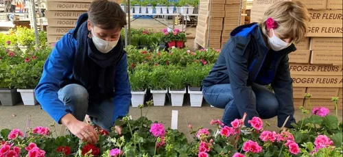 Distribution de fleurs dans les EHPAD du Maine-et-Loire