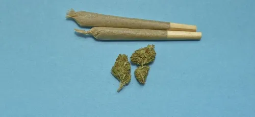 Cannabis : la députée du Loiret Caroline Janvier prône une «...