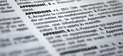Dictionnaire Larousse 2022 : les nouveaux mots contaminés par la...