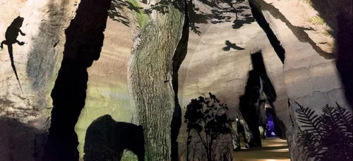 Doué-la-Fontaine : le Mystère des Faluns accessible au public dès...