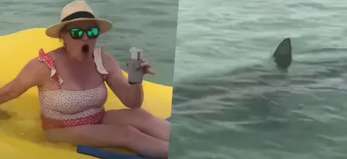 Encerclées par sept requins, elles font preuve d'un sang-froid...